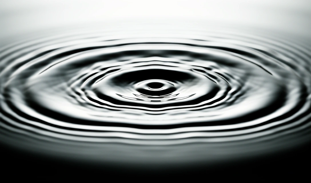 Percepția undelor sonore